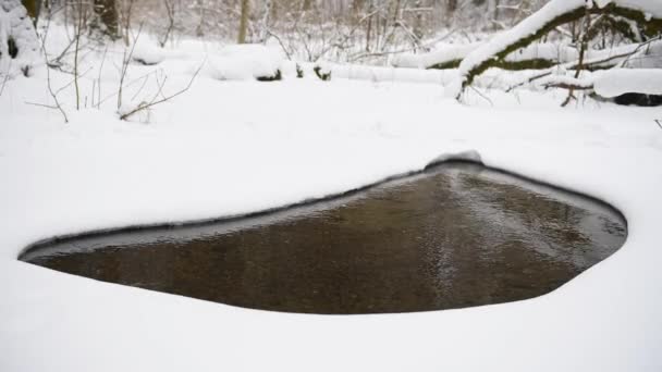 풍경에서 천천히 흐릅니다 얼음이 있습니다 리투아니아 — 비디오