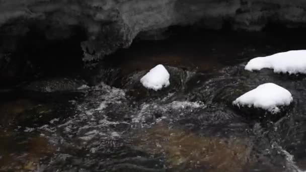 冬天的风景是一条河 河水缓缓流过河流 融化的冰在河上 立陶宛 慢动作 — 图库视频影像