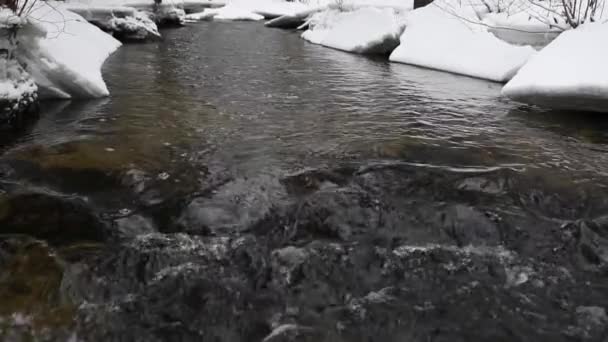 Зимовий Пейзаж Річки Вода Повільно Тече Вниз Річці Танення Льоду — стокове відео