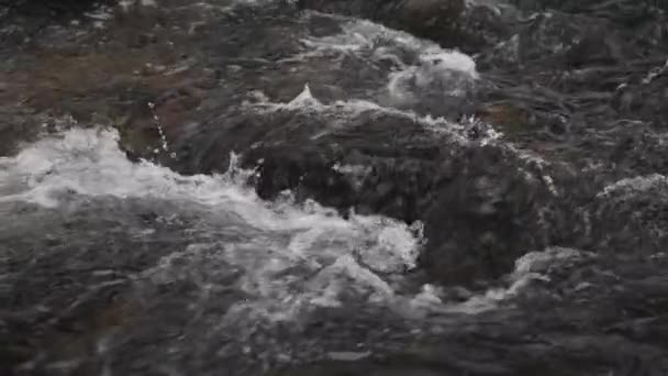 Téli Táj Egy Folyó Víz Lassan Folyik Folyón Jégolvadás Folyón — Stock videók