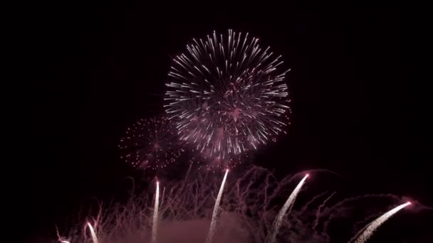 Fyrverkerier Natten Dark Sky Och Colorful Explosion Festivalen — Stockvideo