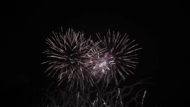 Ohňostroj Noci Temné Nebe Barevná Exploze Festival — Stock video