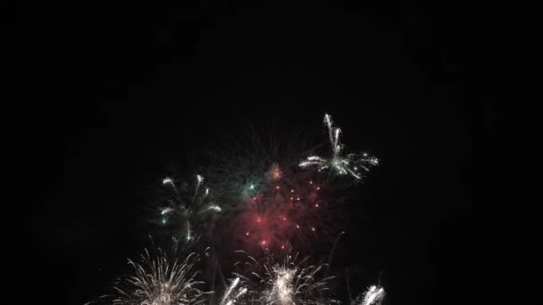 Фейерверк Ночью Темное Небо Красочный Взрыв Фестиваль — стоковое видео