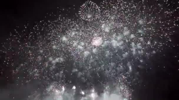 Fogos Artifício Noite Dark Sky Explosão Colorida Festival — Vídeo de Stock