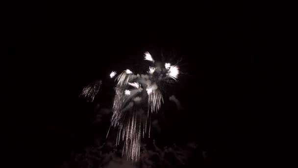 Feux Artifice Nuit Ciel Noir Explosion Colorée Festival — Video