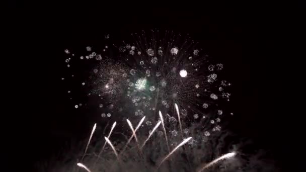夜の花火 暗い空とカラフルな爆発 — ストック動画