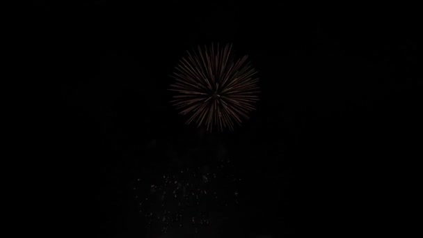 Fuegos Artificiales Por Noche Cielo Oscuro Explosión Colorida Festival — Vídeo de stock