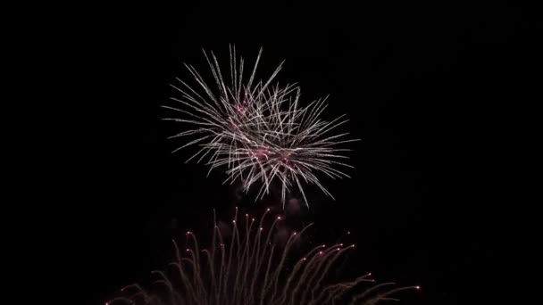 Vuurwerk Nachts Dark Sky Kleurrijke Explosie Festival — Stockvideo