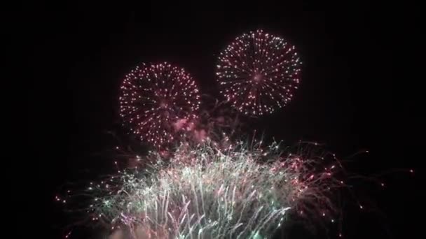 Fuochi Artificio Notte Cielo Scuro Esplosione Colorata Festival — Video Stock