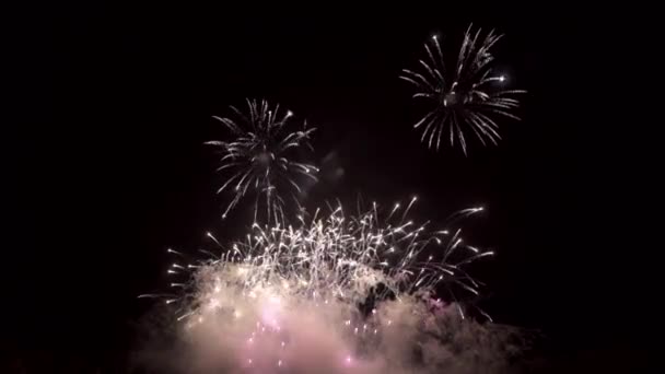 Fuegos Artificiales Por Noche Cielo Oscuro Explosión Colorida Festival — Vídeos de Stock