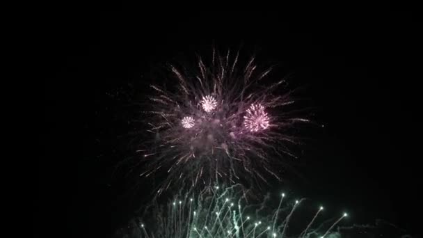 Tűzijáték Éjjel Sötét Égbolt Színes Robbanás Fesztivál — Stock videók