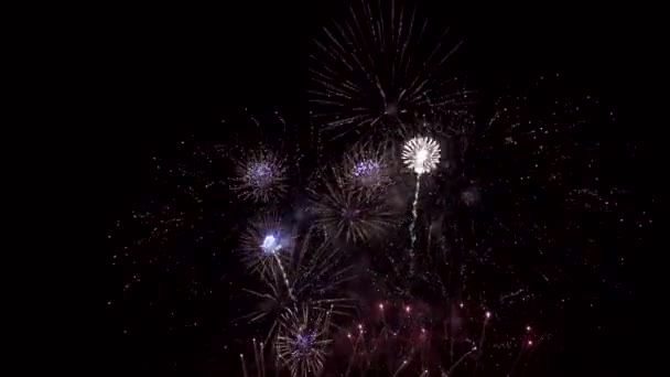 Феєрверки Вночі Темне Небо Колоритний Вибух Фестиваль — стокове відео
