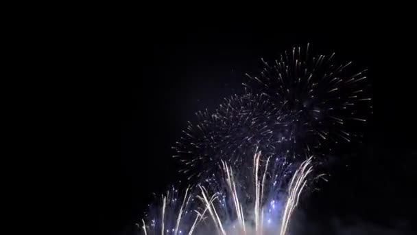 Feuerwerk Der Nacht Dunkler Himmel Und Bunte Explosion Festspiele — Stockvideo