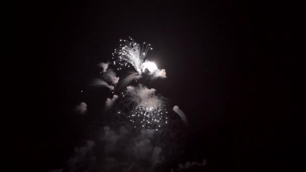 Πυροτεχνήματα Νύχτα Σκοτεινό Ουρανό Και Πολύχρωμη Έκρηξη Φεστιβάλ — Αρχείο Βίντεο