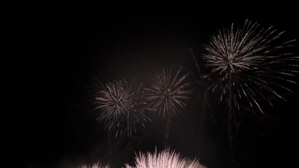 Fuegos Artificiales Por Noche Cielo Oscuro Explosión Colorida Festival — Vídeo de stock