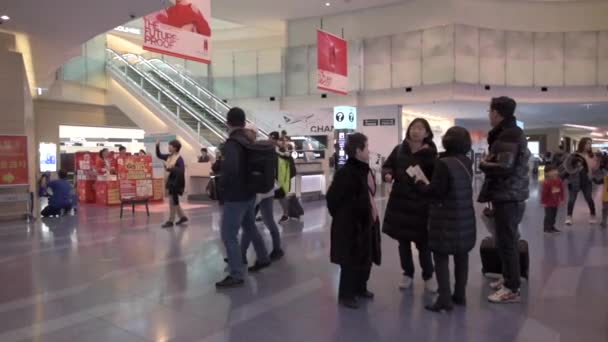 羽田空港 東京都 インテリア 免税店と人 観光客 — ストック動画