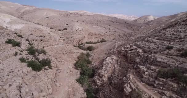 Prat River Israel Wadi Qelt Valley West Bank Originating Jerusalem — Stok video