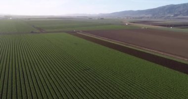 Kaliforniya, ABD 'deki tarım alanlarının havadan görünüşü. Salinas vadisi. ABD. İHA