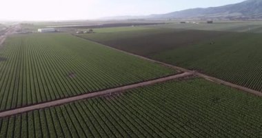 Kaliforniya, ABD 'deki tarım alanlarının havadan görünüşü. Salinas vadisi. ABD. İHA