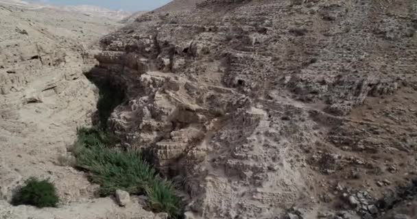 Prat River Israel Wadi Qelt Valley West Bank Originating Jerusalem — Stockvideo