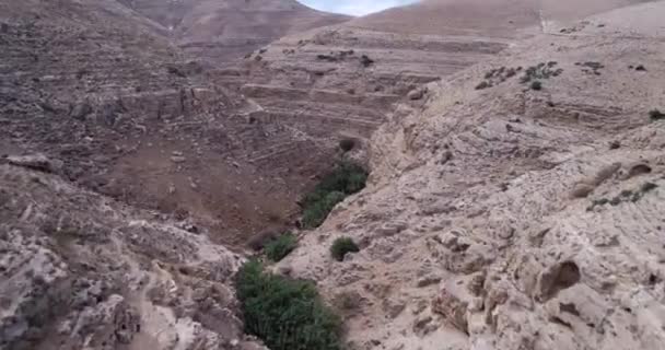 Prat River Israel Wadi Qelt Valley West Bank Originating Jerusalem — стокове відео