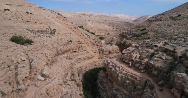 Prat River Israel Wadi Qelt Valley West Bank Originating Jerusalem — Stock Video