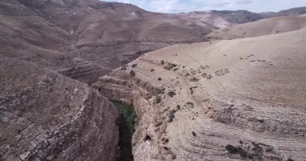 Prat River Israel Wadi Qelt Valley West Bank Originating Jerusalem — Stock Video