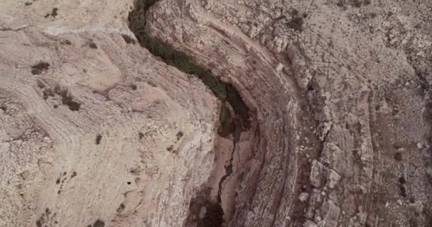 Prat River Israel Wadi Qelt Valley West Bank Originating Jerusalem — Vídeo de Stock