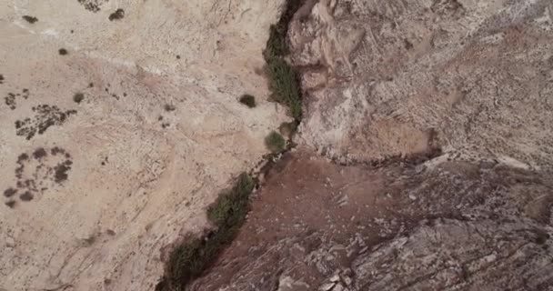 Prat River Israel Wadi Qelt Valley West Bank Originating Jerusalem — Vídeo de stock