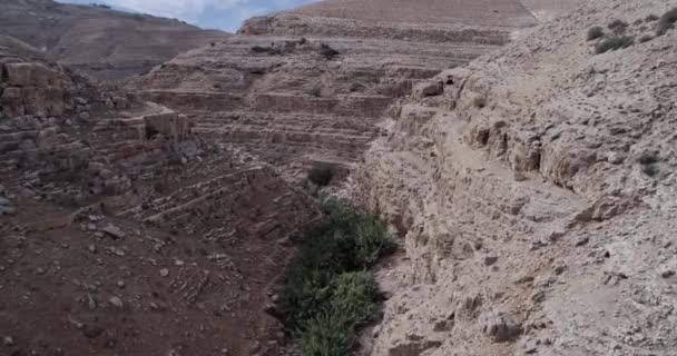 Prat River Israel Wadi Qelt Valley West Bank Originating Jerusalem — Stockvideo