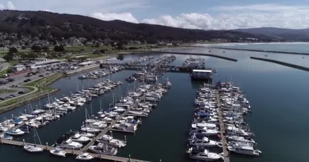 Granada Kalifonien Pillar Point Harbor Princeton Båtar Och Båtar Bakgrunden — Stockvideo