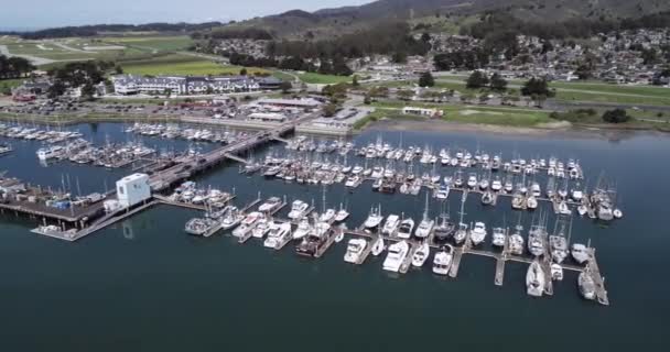 Granada Califonia Pillar Point Harbor Princeton Barcos Yates Segundo Plano — Vídeos de Stock