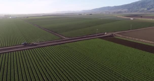 Вид Воздуха Сельскохозяйственные Поля Калифорнии Сша Долина Салинас Сша Дрон — стоковое видео