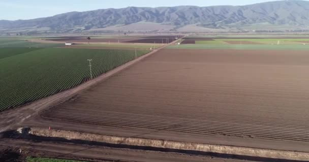 Veduta Aerea Dei Campi Agricoli California Stati Uniti Valle Delle — Video Stock
