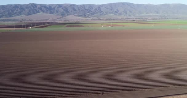 カリフォルニア州 米国の農業分野の空中ビュー サリナス バレー アメリカだ ドローン — ストック動画