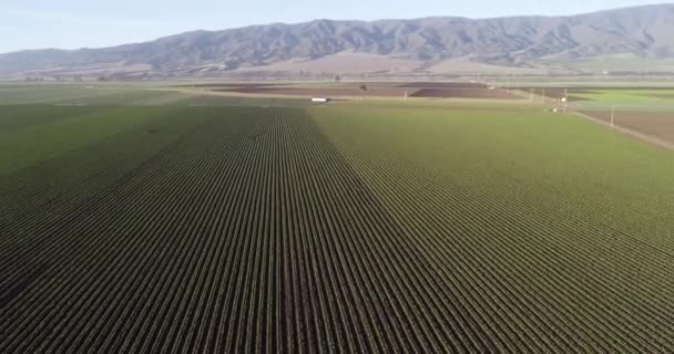 Veduta Aerea Dei Campi Agricoli California Stati Uniti Valle Delle — Video Stock