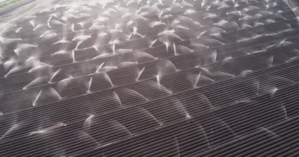 カリフォルニア州 米国の農業分野の空中ビュー サリナス バレー アメリカだ ドローン — ストック動画