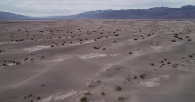 Mesquite Düz Kum Tepeleri Ölüm Vadisi, Kaliforniya, ABD 'de...