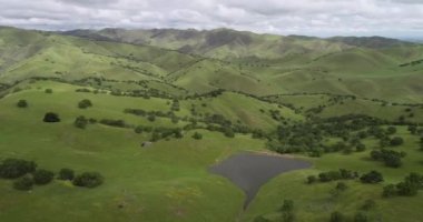 Yukarı Cottonwood Creek Vahşi Yaşam Bölgesi. Los Banos yakınlarında San Luis Barajı 'nda. Kaliforniya mı? ABD. Arka plandaki dağlar. İHA