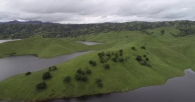 Yukarı Cottonwood Creek Vahşi Yaşam Bölgesi. Los Banos yakınlarında San Luis Barajı 'nda. Kaliforniya mı? ABD. Arka plandaki dağlar. İHA