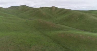 Yukarı Cottonwood Creek Vahşi Yaşam Alanı Güzel Doğa ve Peyzaj. Bulutlu Gökyüzü ile Yeşil Alan. İHA