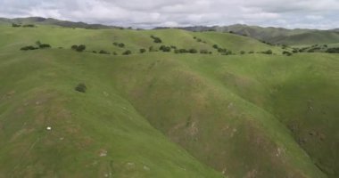 Yukarı Cottonwood Creek Vahşi Yaşam Bölgesi. Los Banos yakınlarında San Luis Barajı 'nda. Kaliforniya mı? ABD. Arka plandaki dağlar. İHA