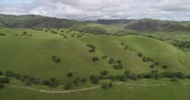 Yukarı Cottonwood Creek Vahşi Yaşam Bölgesi. Los Banos yakınlarında San Luis Barajı 'nda. Kaliforniya mı? ABD. Arka plandaki dağlar. İHA