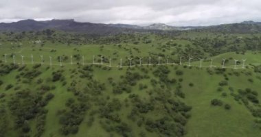 Yukarı Cottonwood Creek Vahşi Yaşam Bölgesi. Los Banos yakınlarında San Luis Barajı 'nda. Kaliforniya mı? ABD. Arka plandaki dağlar. İHA