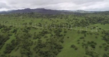 Yukarı Cottonwood Creek Vahşi Yaşam Bölgesi. Los Banos yakınlarında San Luis Barajı 'nda. Kaliforniya mı? ABD. Arka plandaki dağlar. İHA