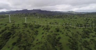 Yukarı Cottonwood Creek Vahşi Yaşam Bölgesi. Los Banos yakınlarında San Luis Barajı 'nda. Kaliforniya mı? ABD. Arka plandaki dağlar. İHA