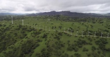 Yukarı Cottonwood Creek Vahşi Yaşam Bölgesi. Los Banos yakınlarında San Luis Barajı 'nda. Kaliforniya mı? ABD. Arka plandaki dağlar. İHA