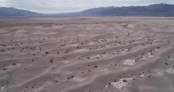 Mesquite Düz Kum Tepeleri Ölüm Vadisi Kaliforniya Abd — Stok video