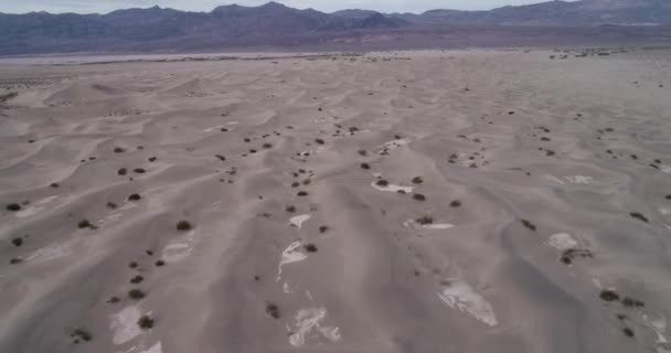 Mesquite Flache Sanddünen Death Valley Kalifornien Usa Drohne — Stockvideo