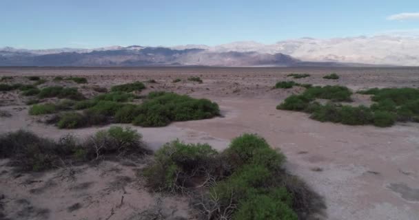 Sandy Salty Death Valley Ground Surface California Usa Montagna Sullo — Video Stock